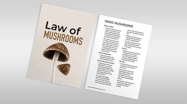 10 how to eat shrooms