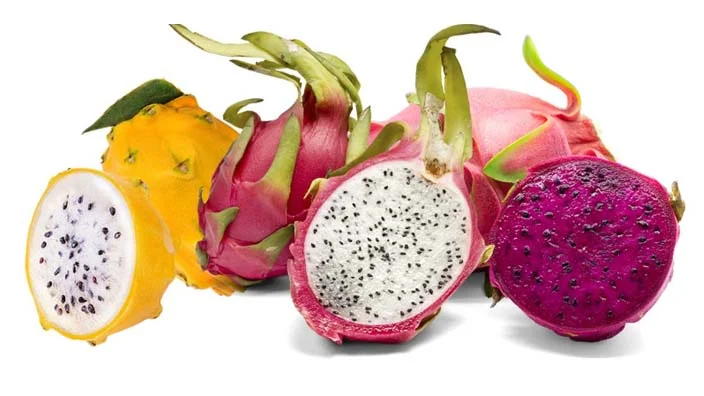 image of types of dragon fruits