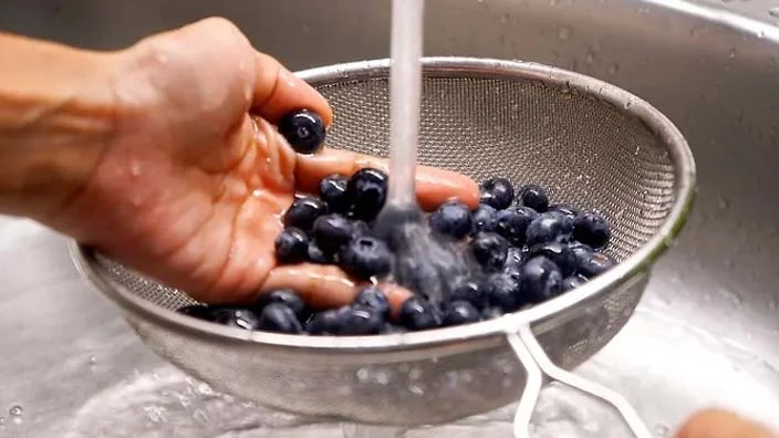 washing blueberries with water