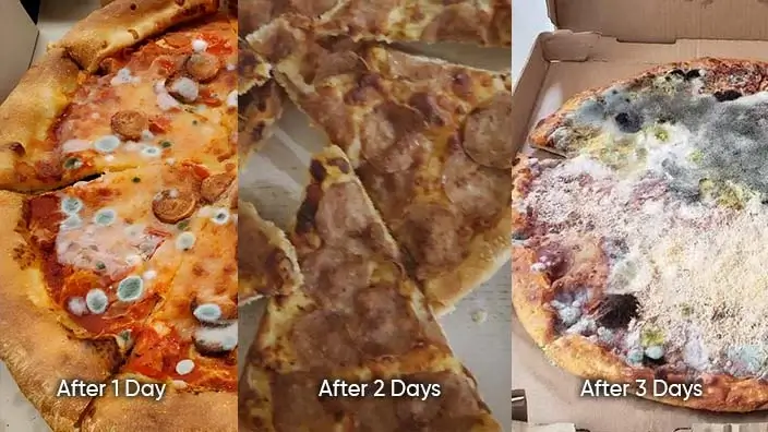 8 how long is leftover pizza good for