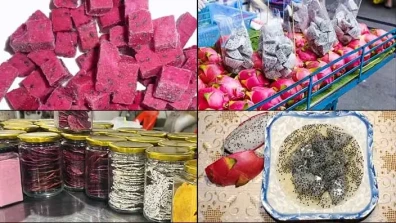 How to Store Dragon Fruit