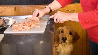 How to Boil Chicken for Dog