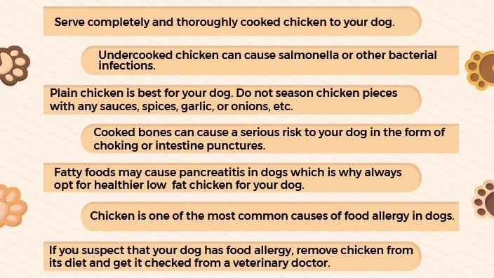 10 how to boil chicken for dog