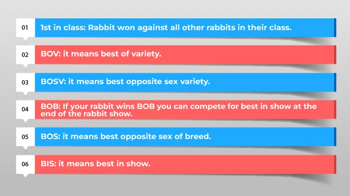 9 rabbit shows