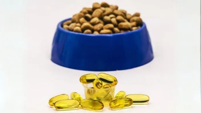 dog diet including fish oil