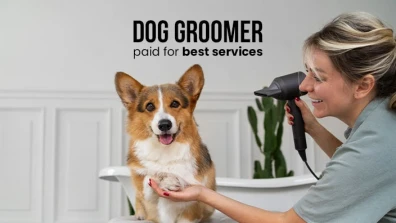 How Much to Tip a Dog Groomer