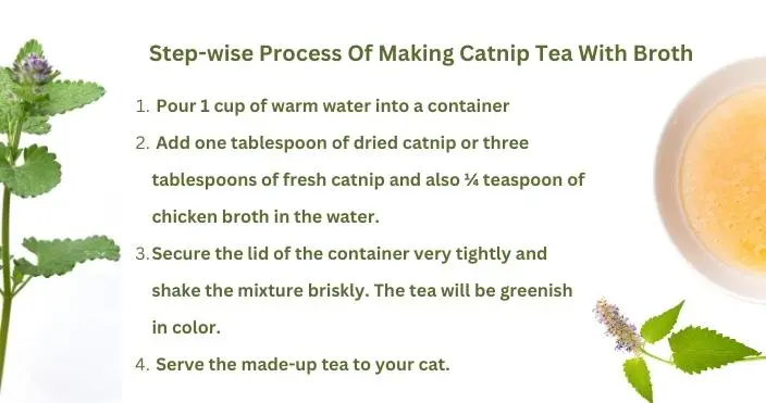 stepwise process of making catnip tea with broth