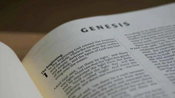 genesis book creation story