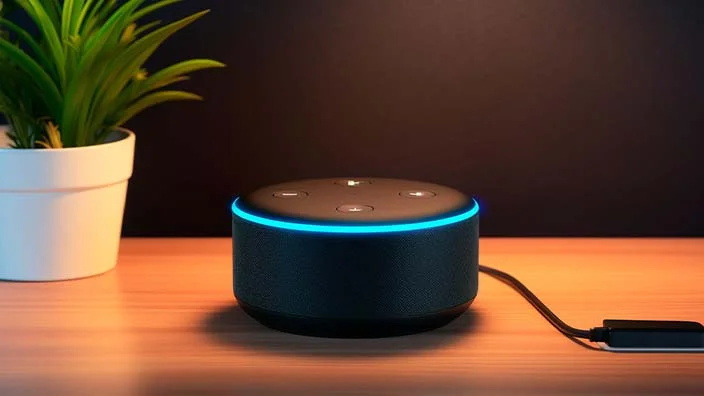 response of alexa if asked personal questions